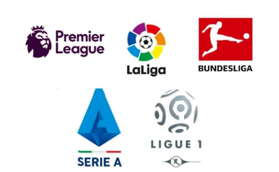 就能真正提 就能真正提